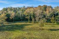 This is the view as your are heading into the back of the property where the trails are.