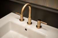 Top-of-the- line plumbing fixtures throughout