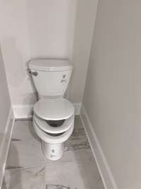 Soft close, comfort height elongated toilets