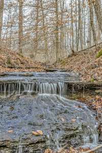 Two creeks on property provide serenity.