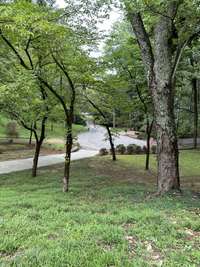 View of front yard from the house