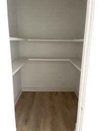 Walk-in pantry with wood shelving