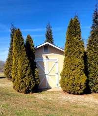 storage shed