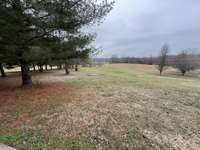 View from the house to the road. There is a concrete drive that runs along the tree line