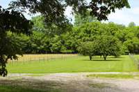 Site for two additional 5-bedroom homes, tree line is the river. Serving as horse pastureland.