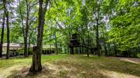 Zip line from tree house and large tree swing