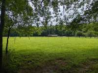 View from riverfront looking over pastureland and up the cliff to higher ground wooded acreage.