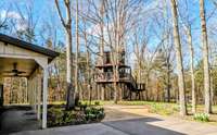 Two story tree house