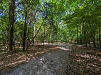 Gravel driveway to pastureland