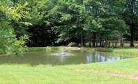 Fishing pond has previously been stocked