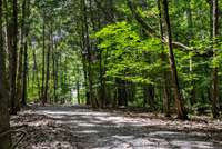 Gravel drive to lower pastureland