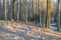 A sanctuary for both wildlife and the future homeowners.