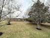 Large yard with magnolia tree