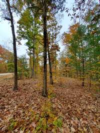 .47 acre lot next door also comes with the purchase. Perfect for RV's or tent camping with friends and family.