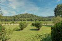 The acreage across the road is a nature preserve, designated to remain as it is -- scenic lush greenery in Spring and Summer, and glorious Fall color in Autumn.