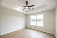 tray ceiling in main bedroom