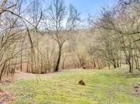 9 Santaland Rd  Pleasant Shade, TN 37145