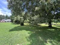 Lovely trees to sit a while and get some shade, flat acreage to walk in and enjoy the beauty nature has to offer. This is a rare treat and wont last long. The area is peaceful and the neighbors are friendly; waving as you drive by.