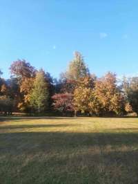 A beautiful fall photo of the changing colors offered by the Woodbury skies on your private little estate just 30 minutes from Murfreesboro, Manchester and McMinnville, come on out, check out this little beauty.