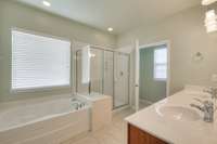 Owners Bathroom with separate shower and tub.