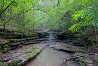 Strout creek runs through the property year round