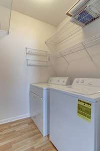 There's a dedicated utility room with washer and dryer (both remain), and useful shelving.