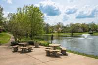 Picnic areas around the lake!