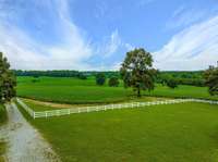 EXCEPTIONAL LAND...Wide Open + Green Pastures w/ Perfect Mix of Trees