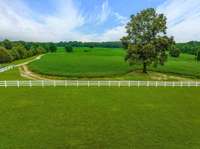 ONE OF THE MOST INCREDIBLE FARMS IN DICKSON COUNTY!!! 226 Acres+/- within Approximately 1 Hour of Nashville