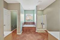 Primary downstairs bath with soaker tub and double sinks