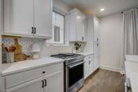 High-end Stainless appliances with marble inlayed backsplash