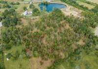 40 acre extensively groomed property with all utility connections, including 5 bdr, step system connection, electric, CUD water and well for barn, livestock and watering