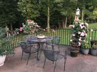 Seller provided photo - The back patio is perfect for beautiful plants as we come into Spring!