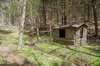 Handmade log cabin playhouse