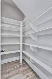 Great Walk-In Pantry