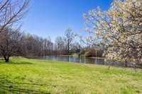 Absolutely GORGEOUS, HUGE stocked spring fed pond!