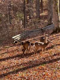 The nature these current owners have seen is remarkable.