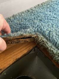 Hardwood under carpet in Bedroom 2