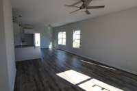 Spacious living area open to kitchen and dining area! Lots of natural lighting! LVP flooring!