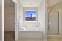 Primary bathroom with soaking tub, bright and shiny.