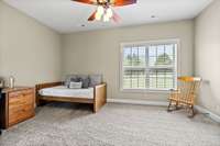 2nd Basement Level Bedroom with walk-in closet