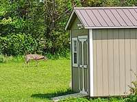 Different types of wildlife can be seen while enjoying sitting on the back patio.