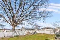 This magnificent oak tree won a city-wide "big tree contest" in 2019! There are also a flowering serviceberry, crepe myrtle, and fruit-bearing pawpaw tree.