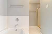 Primary bathroom suite with soaking tub, walk-in shower, double vanities.