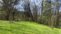 The pasture behind the home gently drops down to both creeks.