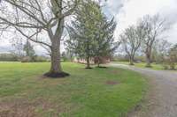 Large mature trees throughout the property.