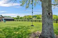 Swing on tree looking at pasture and barn on property