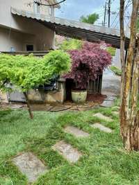 Coming from the Carport you enter your own secret garden