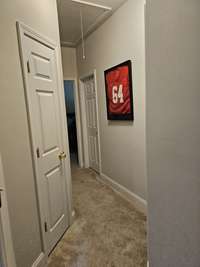 Hallway on main level leading to 2 bedrooms, several closets, and a full bath!