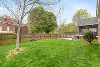 A green lawn in wonderful condition and excellently suited for playing fetch, tossing the baseball, or tending to a garden. The possibilities abound.